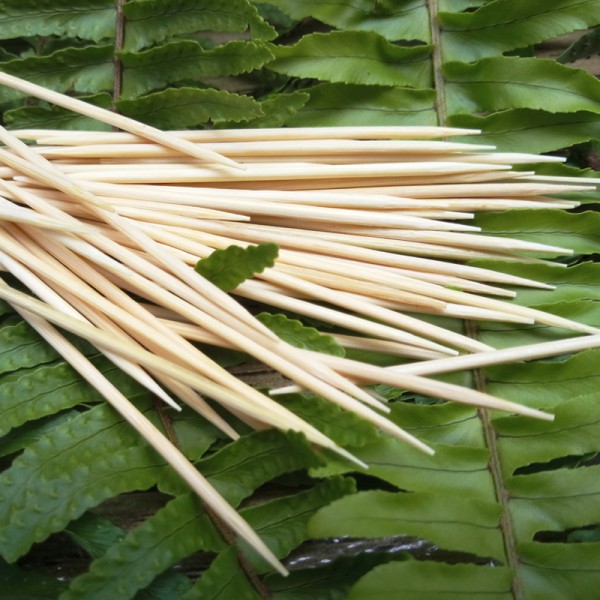 Bamboo toopick (4).jpg